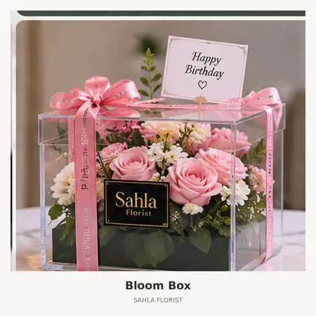 Bloom Box Muktisari